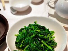 五粮液嫩豆苗-玫瑰厅上海菜(兴国路店)