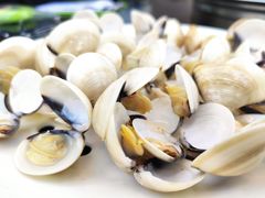 -狮伙海鲜捞(千灯湖店)