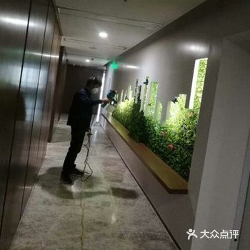 随便买检测和治理仪器，这样是不可取的，很多网购甲醛仪