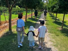 -前小桔亲子创意农场·草莓采摘·露营烧烤