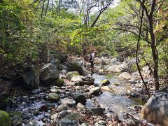 -云岫谷游猎自然风景区