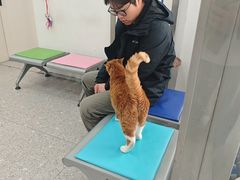 -四月宠物医院·猫专科·心脏专科·内科(转塘店)