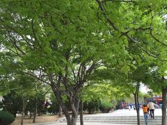 -黑石礁公园