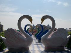 -百万葵园