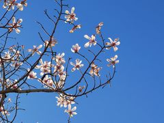 -鹫峰国家森林公园