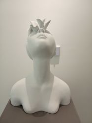 -紫御国际抗衰ZOE ANTI AGING