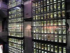 -广东中医药博物馆