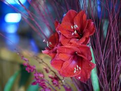 -春暖花开(西溪店)