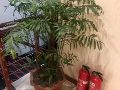 -百姓之家(黄浦江街店)