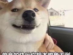 -打包幸福(安发店)