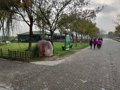-泗洪洪泽湖湿地景区