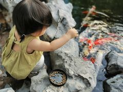 -道南書院·私房菜·早午茶·茶馆