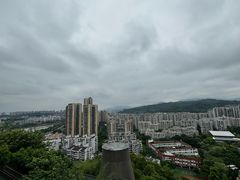 -福道