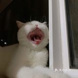 一不小心就长大了