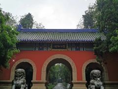 -灵谷景区