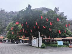 -星湖旅游景区七星岩