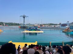 -秦皇岛乐岛海洋王国