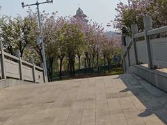 -映月湖公园