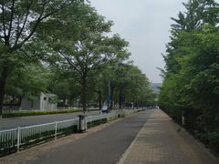 -新海渔港·胶东海鲜家常菜·家宴(奥体中心店)