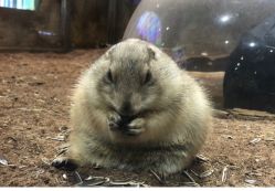 点击看大图 -宝燕乐园(闵行旗舰店)