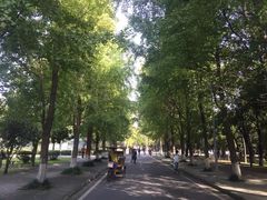 -四川大学(望江校区)