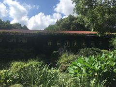 -中国茶叶博物馆(双峰馆区)