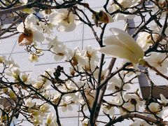 -中国中医科学院西苑医院(本部)