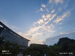 -上海中医药大学附属曙光医院(东部)