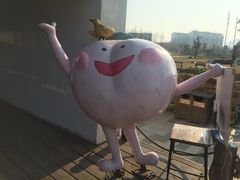 -田园东方蜜桃村的田野营地