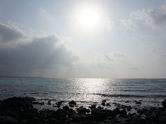 -Cafe Aewol Monsant