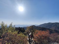 -香山公园