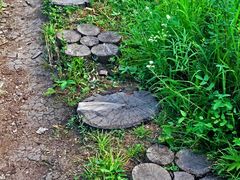 -阿尔山市大兴安岭奥伦布坎景区