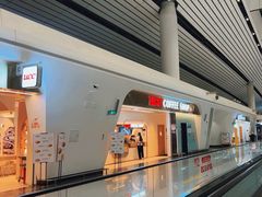 -LV路易威登(大兴国际机场店)
