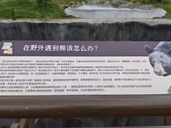 -武汉动物园