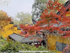-杭州植物园