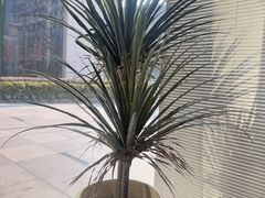-LAVAZZA拉瓦萨咖啡(星荟中心店)