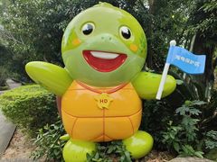 -广东惠东海龟国家级自然保护区