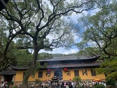-普陀山风景名胜区-法雨禅寺