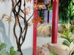 -圣和汤泉•汗蒸温泉自助