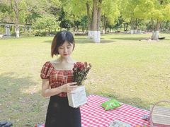 -重庆彩云湖湿地公园