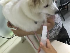 -美联众合动物医院·24h京西诊疗中心