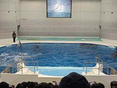 -鹿儿岛水族馆