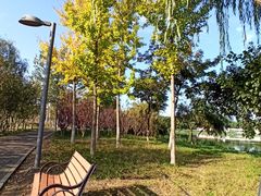 -大兴滨河森林公园