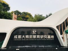 门面-成都大熊猫繁育研究基地