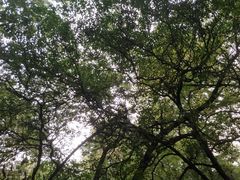 -成都市活水公园