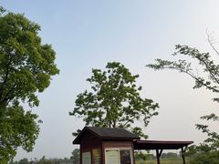 -嘉北郊野公园