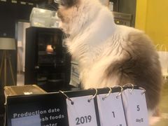 -咖法森林·咖啡  酒吧(天河店)