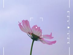 -海珠湖公园