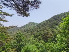 -金龙寺国家森林公园