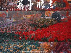 -天河体育中心